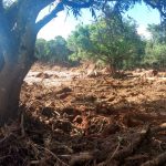 Bispo acolhe comunidade do Feijão, área mais atingida de Brumadinho