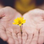 Ter uma vida nova: quem me dera, mas Deus me livre!