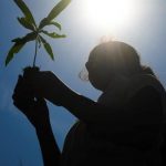 Pastorais do Meio Ambiente conscientizam a população diante da realidade atual do planeta
