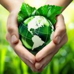 Vaticano quer abolir o plástico. O incentivo vem da Encíclica ‘Laudato si’