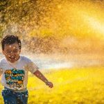 Do que precisamos para ser felizes?