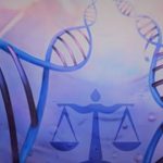 CNBB nomeia novos membros para a Comissão Especial de Bioética