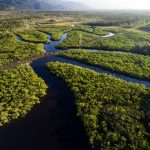 Amazônia: Eu com isso?