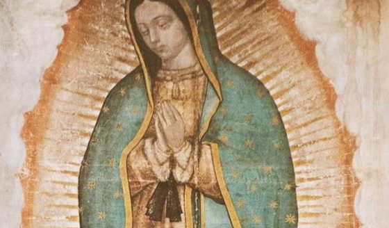 Conselho Episcopal Latino Americano convida para o Dia Continental de Oração pela Paz