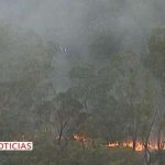 Arcebispo pede doações para vítimas de incêndios florestais na Austrália