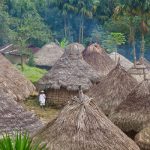 Por que a Igreja se preocupa com a Amazônia?
