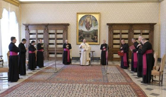 Em novembro, as audiências gerais na Biblioteca do Palácio Apostólico